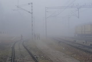fog-in-rewari-weather-update
