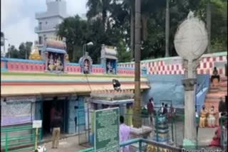 Sankranti worship in bangalore gavi gangadhareshwara temple