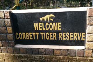 tourists number Decreased in Ramnagar Cobert Park