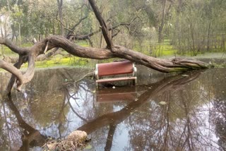 park turned into a pond due to sewer overflow in Vipin Garden