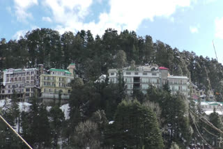 hotels bookings cancelled in Dalhousie