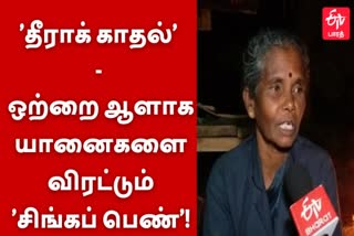 ஒற்றை ஆளாக காட்டு யானையை விரட்டுவது குறித்து நமது செய்தியாளரிடம் பேசிய ராதா.