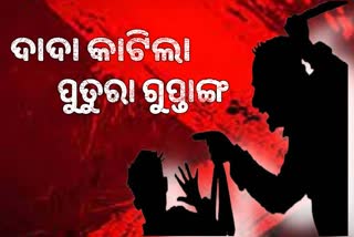 ବଚସାରୁ ବର୍ବରତା, ପୁତୁରାର ଗୁପ୍ତାଙ୍ଗ କାଟିଲା ଦାଦା