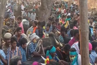 2nd day: Jallikattu competition underway in Palamedu area of Madurai in TN