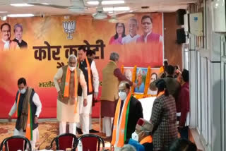 BJP Core Group meeting