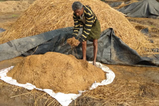 అకాల వర్షం.. అన్నదాతకు అపార నష్టం