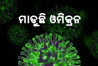 OMICRON FEAR : ରାଜ୍ୟରେ 32 ଓମିକ୍ରନ ଆକ୍ରାନ୍ତ ଚିହ୍ନଟ