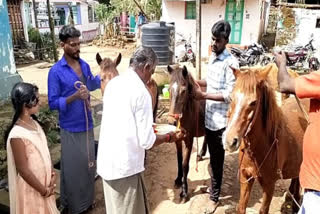 பொங்கல் வைத்து மலைவாழ் மக்கள் கொண்டாட்டம்