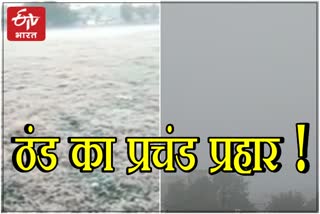 Cold Wave In Rajasthan