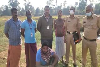 alcohol smuggling in kerala karnataka border  Wayanad Bavali iquor smuggling  Man arrested with 51 liters of Karnataka liquor  excise raid in Bavali Shanamangalam area  വയനാട് 51 ലിറ്റർ കർണാടക മദ്യവുമായി ഒരാൾ പിടിയിൽ  ബാവലി ഷാണമംഗലം എക്സൈസ് പരിശോധന  കേരള കർണാടക അതിർത്തി മദ്യകടത്ത്