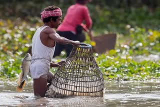 Bihu Celebration Pictures