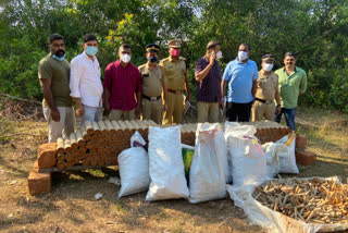 Gun powder seized in Kumbala Kasaragod  കുമ്പളയിൽ വൻ വെടിമരുന്ന് ശേഖരം പിടികൂടി  കിദുരിൽ വൻ വെടിമരുന്ന് ശേഖരം പിടികൂടി