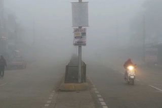 Severe cold wave in MP
