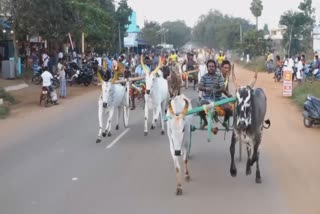 சிவகங்கையில் மாட்டுவண்டி எல்கை பந்தயம்