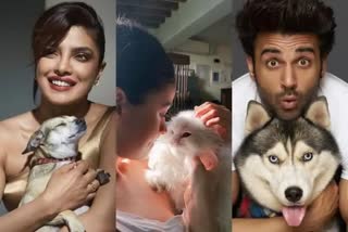 Bollywood celebrities as pet parents  bollywood news updates  pets of bollywood  actors with pets  ബോളിവുഡ് താരങ്ങളുടെ വളർത്തുമൃഗങ്ങൾ  വളർത്തുമൃഗങ്ങൾക്കൊപ്പം അഭിനേതാക്കൾ