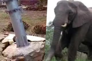 Elephant in Ranchi's district Sonahatu creates chaos for the villagers, Elephant video destruction, elephant viral video ranchi