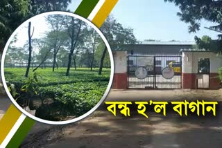 Tense situation in Sepon Tea Estate