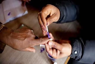Punjab Assembly Election