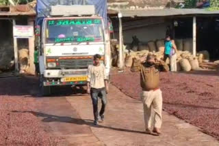 suspected burmese betel nut seized in Barpeta