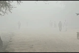 delhi weather news