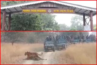 Panna Tiger Reserve