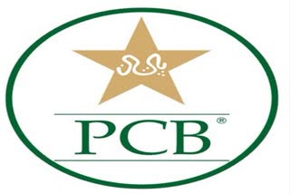 Pakistan Cricket Board suspends U-13, U-16 tournaments  age fraud in Pakistan U-13, U-16 tournaments  പാകിസ്ഥാൻ U-13, U-16 ടൂർണമെന്‍റുകളില്‍ പ്രായത്തട്ടിപ്പ്  പാകിസ്ഥാൻ ക്രിക്കറ്റ് ബോർഡ്