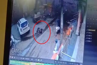 Dog attack on boy  scene captured on CCTV