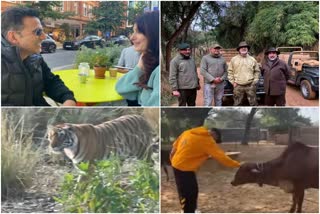 Akshay Kumar in Ranthambore