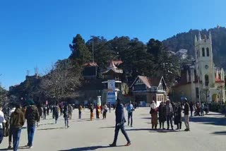 corona patients in Shimla