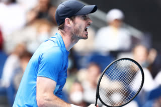 Andy Murray's win in Australia, Andy Murray results, Andy Murray win, Andy Murray at Australian Open