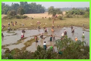 Traditional Community Fishing