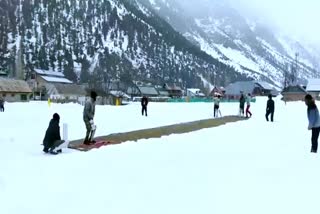 Cricket tournament on snow