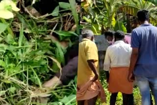 Young Man Found Dead In kollam  kollam todays news  കൊല്ലം ഇന്നത്തെ വാര്‍ത്തകള്‍  കൊല്ലത്ത് യുവാവിനെ ഓടയില്‍ മരിച്ചനിയിൽ കണ്ടെത്തി  കൊല്ലം അഞ്ചലില്‍ യുവാവിന്‍റെ ദുരൂഹ മരണം  Young Man Found Dead in anchal