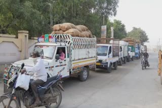 High auction of caraway seeds : હાપા યાર્ડ હરાજીમાં અજમાનો રાજ્યમાં સૌથી ઊંચો ભાવ રૂ. 7000 બોલાયો