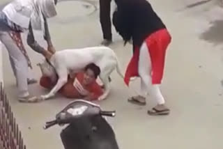 Viral video of Pitbull dog attacking an innocent child in greater noida