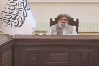 Afghan PM appeals for Muslim nations