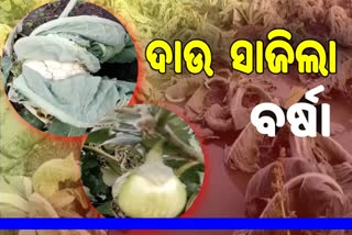 ବର୍ଷା ଦେଇଗଲା ଚାଷୀ ଆଖିରେ ଲୁହ