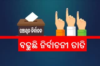 ପଞ୍ଚାୟତ ଟକ୍କର: ପୁରୀ ବାଲିଗୁଆଳି ପଞ୍ଚାୟତରେ ଭୋଟରଙ୍କ ମୁଡ୍ ପରଖିଲା ଇଟିଭି ଭାରତ ଟିମ୍