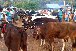 புஞ்சைபுளியம்பட்டி கால்நடைச் சந்தை