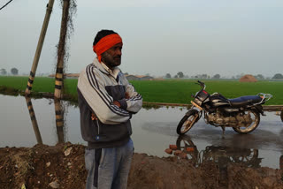 dirty water is going to fields in Tigipur village of delhi