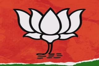 BJP Declare Candidates for Goa: ભાજપે ગોવામાં 34 ઉમેદવારોની યાદી જાહેર કરી