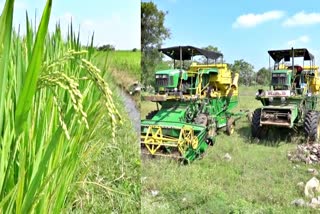 ஈரோடு மாவட்டம் பவானிசாகர்