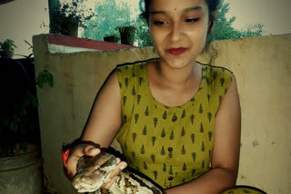 Karnataka girl catches over 100 venomous snakes