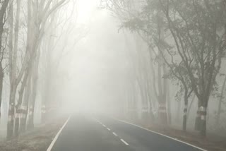 Chance of rain and hailstorm in Chhattisgarh