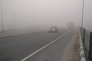 Cold dense fog in Bihar