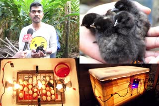 Nadumattam Abhijit made artificial hatchery unit  Rajakumari Abhijit hatches chicks  സ്വന്തമായി നിർമിച്ച ഹാച്ചറിയിൽ കോഴിക്കുഞ്ഞുങ്ങളെ വിരിയിച്ച് അഭിജിത്  രാജകുമാരി നടുമറ്റം അഭിജിത് ഇൻക്യുബിലേറ്റർ നിർമാണം  കോഴിക്കുഞ്ഞുങ്ങളെ വിരിയിച്ച് ഇടുക്കി അഭിജിത്  കൃത്രിമ ഹാച്ചറി യൂണിറ്റ് നിർമിച്ച് അഭിജിത്