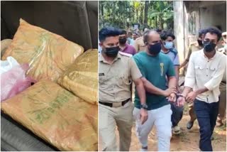 കോഴിക്കോട് കഞ്ചാവ് വേട്ട  ganja seized in kozhikode  3 held with ganja in kozhikode  കോഴിക്കോട് കഞ്ചാവ് അറസ്റ്റ്  കൂമ്പാറ കഞ്ചാവ് പിടികൂടി