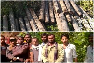 balrampur timber smuggler active
