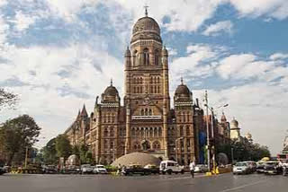 bmc elections