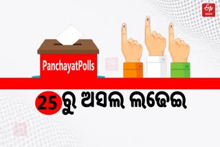 PanchayatPoll